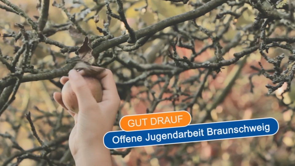 Teaserbild zum Eintrag '" ... für alle eine fruchtbare Kooperation" - GUT DRAUF in der Offenen Jugendarbeit Braunschweig'